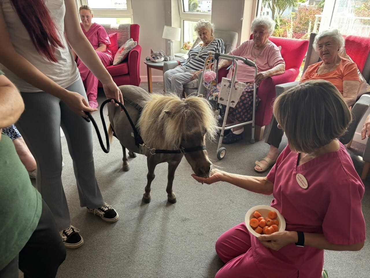 Ponies, Tea Rooms and Memories: A Joyful August Week at Stuart Court